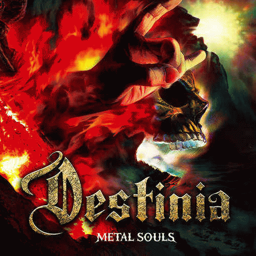 Nozomu Wakai's Destinia : Metal Souls